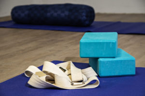 Bodhi Yoga Mestre