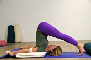 Bodhi Yoga Mestre
